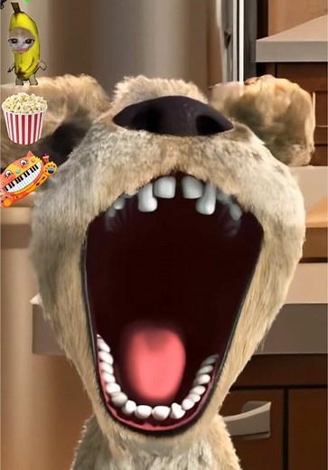 Tom Sings: Angry Banana Cat Fight with Talking Ben