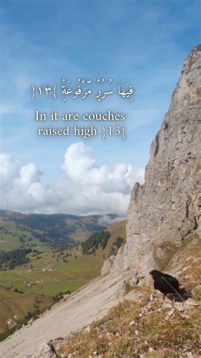 Surah Ghashiya | Ayah 10 - 16 | Abdul Rahman Mossad | Quran | #quran#quranverses#quranictranslation