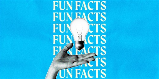 Fun facts for the dinner party video