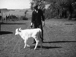 Nebraska Farm 1930's