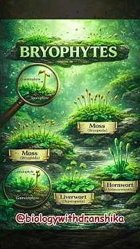 Bryophytes – the pioneers of green! #bryophytes #moss #magic #naturewonders #plantlife #biology