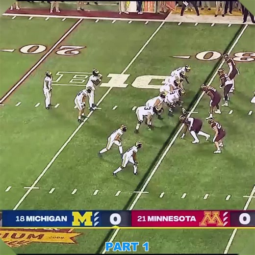Michigan Wolverines vs. Minnesota Golden Gophers Highlights