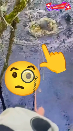 on ne gagne pas à tous les coups #pourtoi #shorts #shortsfeed #shortvideo #short #shortsvideo #like