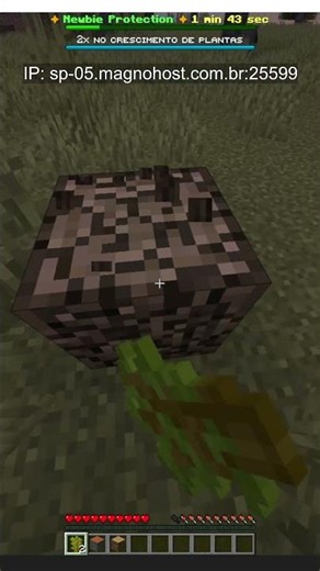 Best Brazilian anarchic Minecraft server for Java and Bedrock Edition.