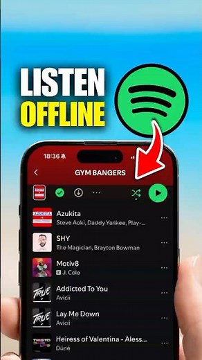How To Download Spotify Songs For Offline