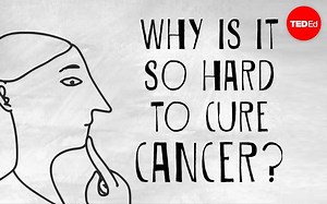 【TED-Ed】为什么癌症难以治愈.Why.is.it.so.hard.to.cure.cancer.原创翻译.双语字幕