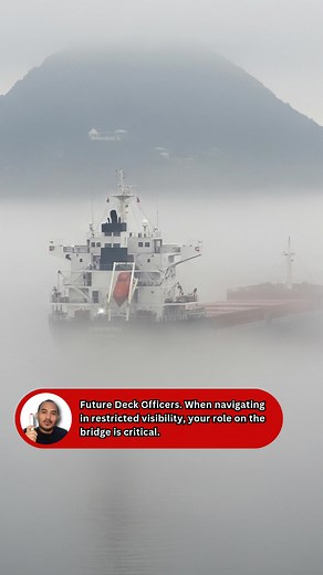 48K views · 510 reactions | SUBJECT: RESTRICTED VISIBILITY CHECKLIST...