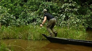 38K views · 277 reactions | Po wielu latach poświęconych na badania...