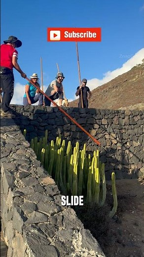 Shepherds in Canary Islands JUMP Off Cliffs With 13-Foot Poles!🤯
