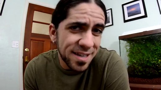 Inside the surprising social networks of fish (yes, fish)