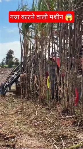 New technology calculating machine makes farmers' work easier #farming #sugercane #machine #agricu