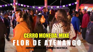 Flor de Atenango (Cerro Moneda Mixe)/Los Imponentes de Tierra Mixteca (Video en vivo) SÍGUENOS EN REDES: 🌎 🎤 Spotify: https://open.spotify.com/intl-es/artist/5HeZKNwqElnNcGZWKNUop0 🎥 YouTube: https://www.youtube.com/channel/UCQ9ibaME81KnyhHxyev4how 📱 Facebook: https://www.facebook.com/TecladistaOficial/ 🤳 Tik Tok: https://www.tiktok.com/@los_imponentes_de_tierra/ CONTRATACIONES DIRECTAS AL TEL. 953 138 4935 SANTA MARÍA YOSOYÚA, TLAXIACO, OAXACA. GRACIAS POR EL APOYO PAISANOS, QUE RECIBAS UN
