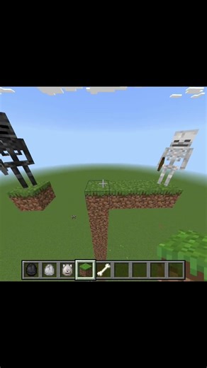 dog kill only weather is skeleton 💀 #minecraft #funny #short