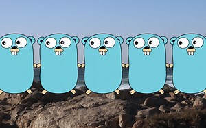 【Go语言面试】Semaphore和Connection Pooling