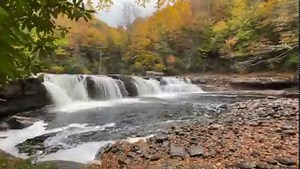 1.3K views · 71 reactions | Enjoy these views captured yesterday of the spectacular fall foliage surrounding the High Falls of Cheat. Have you had the opportunity to ride with us on the New Tygart Flyer this fall? Share your photos in the comments below!  | Durbin & Greenbrier Valley Railroad | Facebook