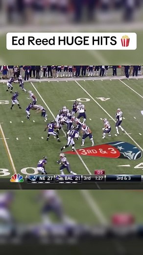 Ed Reed Career Highlights: Top Hits in NFL!