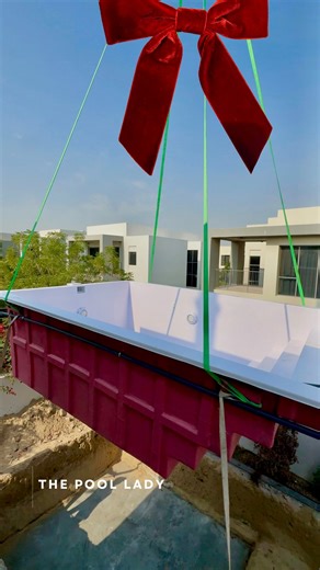 The Pool Lady on Instagram: "Merry Christmas from The Pool Lady Team 🎄"