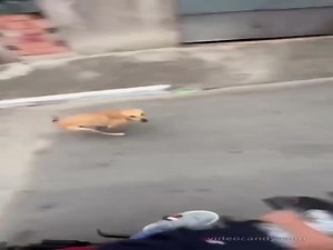 It's My Turn Now (VIDEO)