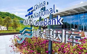国家基因库都在推荐的单细胞课程-Biomamba-生信基地-Biomamba-生信基地-哔哩哔哩视频
