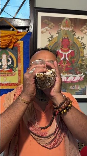 How to blow a large conch shell #experiment