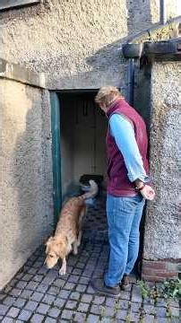 TT: A Princely Privy 👑🇬🇧🚽 #toilet