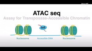 19 - 极简ATAC seq (数量、多组学分析课程)