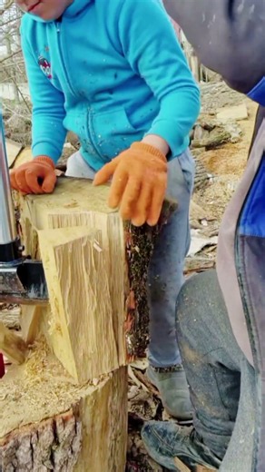 Vertical Log Splitter 3