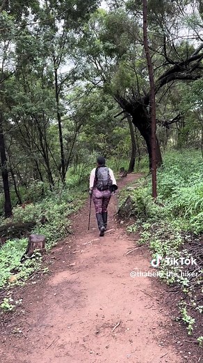 Exploring Nature: A Hiker's Journey in the Great Outdoors