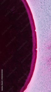 Exploring the intricate details of cellular structures under high magnification in a biology lab