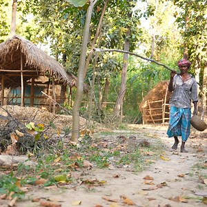 village style healthy small fish recipe | tribal traditional cooking and eating by tribe old couple Part 1 | Tribal village cooking