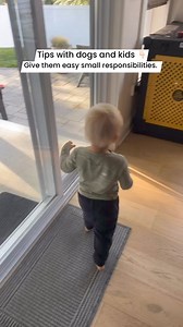 48K views · 244 reactions | Tips for dogs and kids! #dogtrainer #dogtrainingtips #kidsanddogs | Tom Davis Dog Training | Facebook