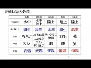 脊椎動物の分類