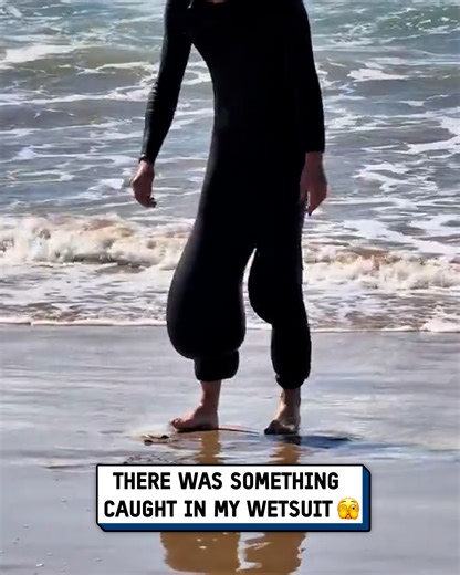 1.5M views · 2.5K reactions | Something got trapped in my wetsuit  #wetsuit #swimming #ocean | UNILAD Tech | Facebook