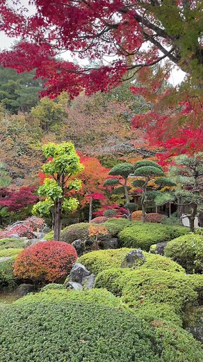 Tranquil Ryokan Garden Proposal in Japan