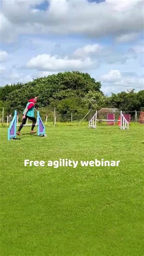 142 reactions · 25 shares |  Training agility in your yard? Then...