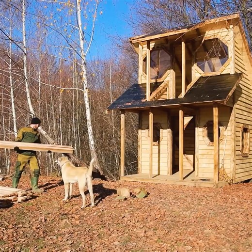 298K views · 5.5K reactions | Built a two surface house equipped inside.#survival #adventure #wilderness #camping #bushcraftcamping​ #logcabin #cabin | Alex Bushcraft | Facebook
