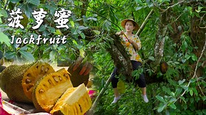 1.9M views · 115K reactions |...