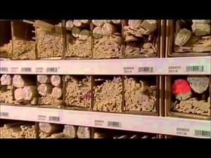 Frank Gehry and his little models