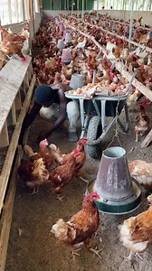 735K views · 10K reactions | Join Our Farming Family in an Insightful...