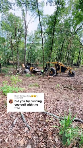 55K views · 572 reactions | Real Logger 漢 . . .​#MakeItMagical #Productivity #loggingislife #logger #tigercat #skidder #dayinmylife #tigercatforestry #logging #forestry #tigercat #Weiler #johndeere #foryoupage #loaderman559 #oil #sawmill @top fans | Peake Warren | Facebook