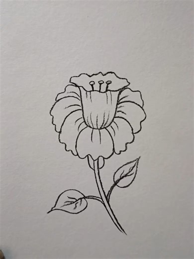Easy U Letter Flowers Drawing Tutorial