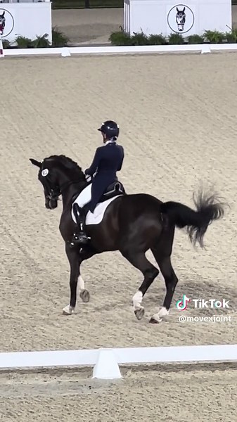 Movex really enjoyed the dressage CDI-W FEI Grand Prix Freestyle to Music @WEC #dressage #fei #teammovex #movexjoint
