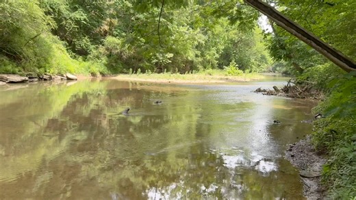 71K views · 1.6K reactions | Ghost Town's Riverbed HOLDS KEY to the Past! River Treasure Hunter finds FORGOTTEN history! This week I head out to one of Alabama's Coal Mining towns that has been all but forgotten! While mudlarking we uncover Relics, Antique bottles and so much more! Each piece of history saved is another piece to the puzzle of this town from a century ago! #rivertreasure #Mudlarking #history | Adventure Archaeology And Southern Diggers | Facebook