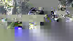 1.4K views · 89 reactions | Rio the Mammoth donkey and Melody Johnson, Donkey Whisperer Farm ®. | Donkey Whisperer Farm | Facebook