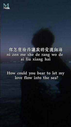 Da Tou Zhen Ban (大头针版) - Tearful Ocean (泪海) lyrics #歌曲歌词 #mandarin #douyin #music