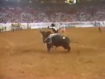 5K views · 245 reactions | ⚠️ Bobby Delvecchio ⚠️ ☆ PRCA National Finals Rodeo 1982 ☆ Colaborador: Alejandro Mauricio Charolais. #oldschoolrodeoforever #amigosdelrodeozac #rodeo #champion #cowboy #bullriding #longlivecowboys #prca #NFR #prcarodeo #prcaprorodeo #galeriaamigosdelrodeo #legend | Amigos Del Rodeo | Facebook