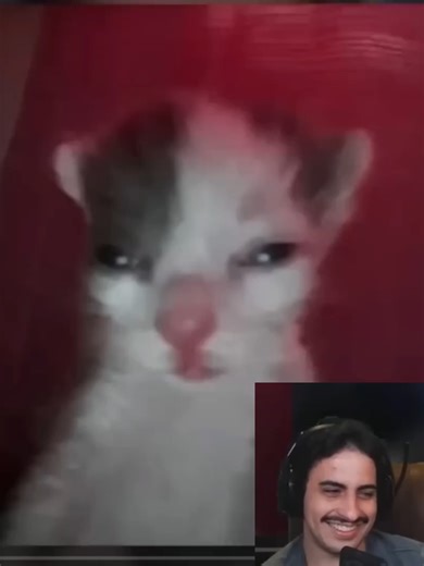 David One: Gameplay e as Reações Engraçadas