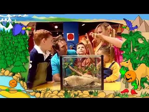 Hi 5: Wonderful Journeys