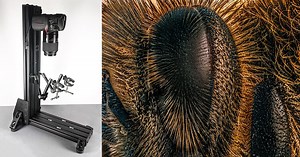 How to Build a DIY T-Rex Stand for Macro Photography