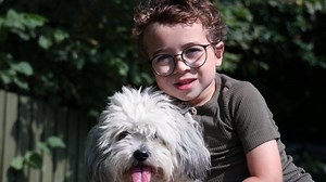 Boy His Dog Sitting On Bench: vídeo stock (100% livre de direitos) 1079946359 | Shutterstock